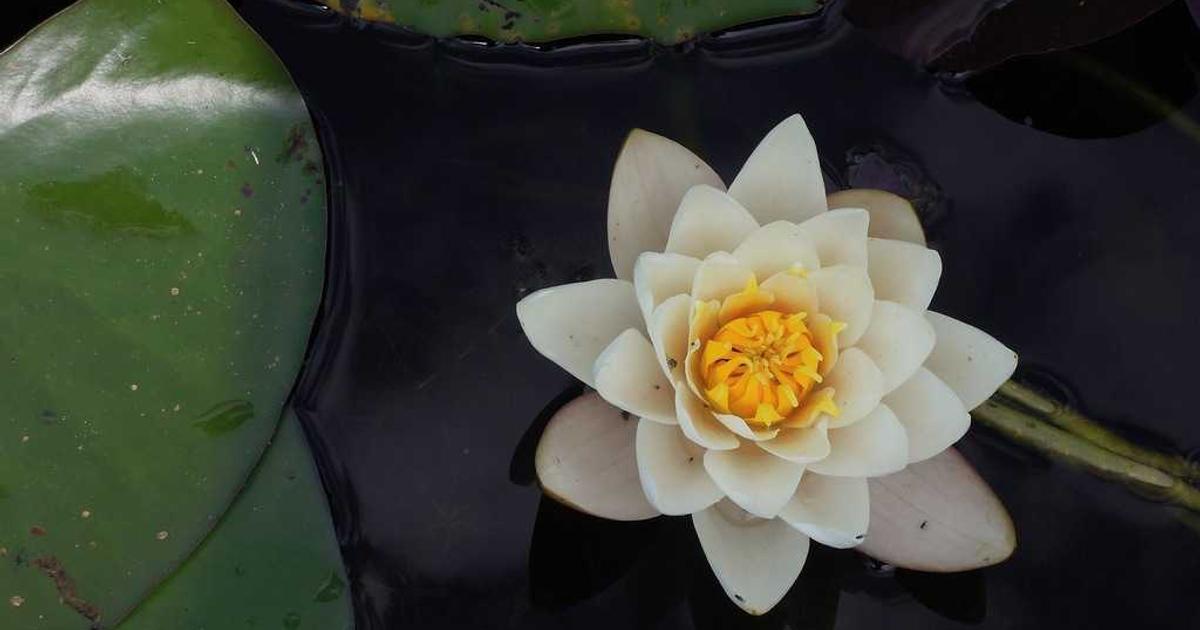 Sample Post 0255: Images are usually the heaviest thing on